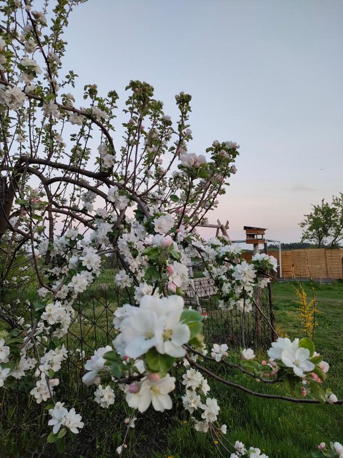 Gosciniec Villa Koden Bagian luar foto